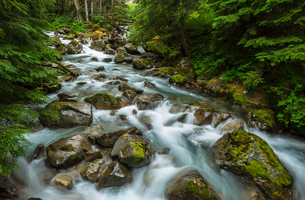 rivière en cascade dans les cascades - north cascades national park cascade range river waterfall photos et images de collection