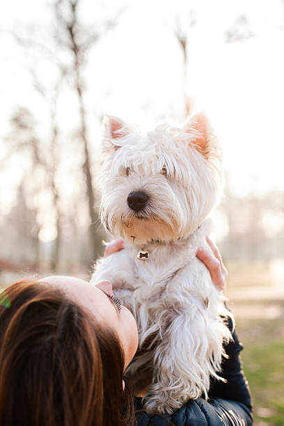 istock dog and girl 636666438