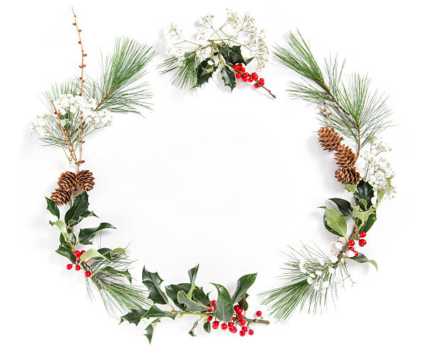 istock Frame pine tree branches ilex leaves Christmas floral flat lay 636667524