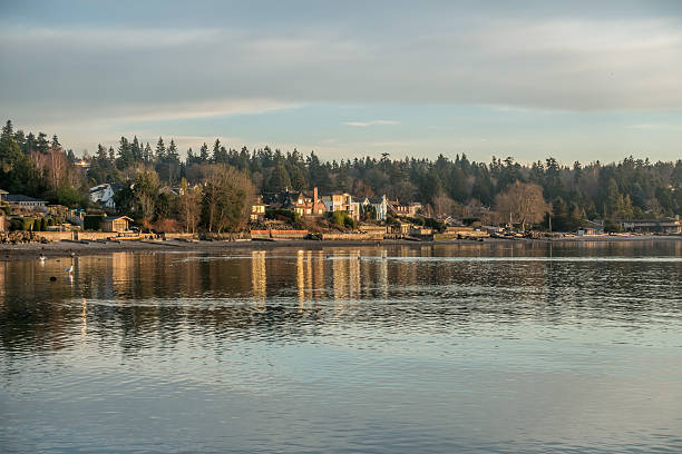 istock Puget Sound Shoreline Homes 636668464