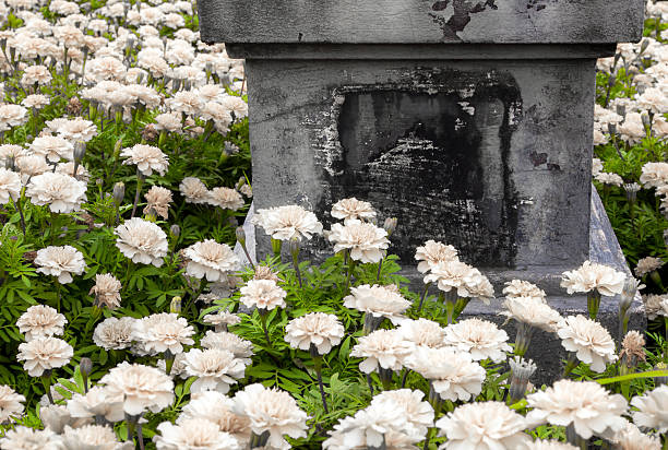 istock Concrete pedestal in the marigolds field 636669518