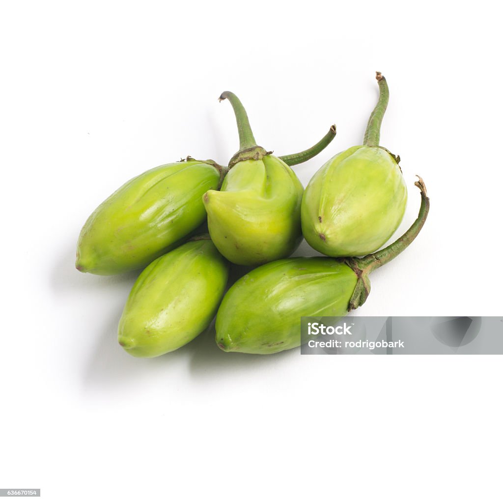 Jilo Scarlet African Eggplant Stock Photo - Download Image Now - Brazil,  Brazilian Culture, Brazilian Ethnicity - iStock