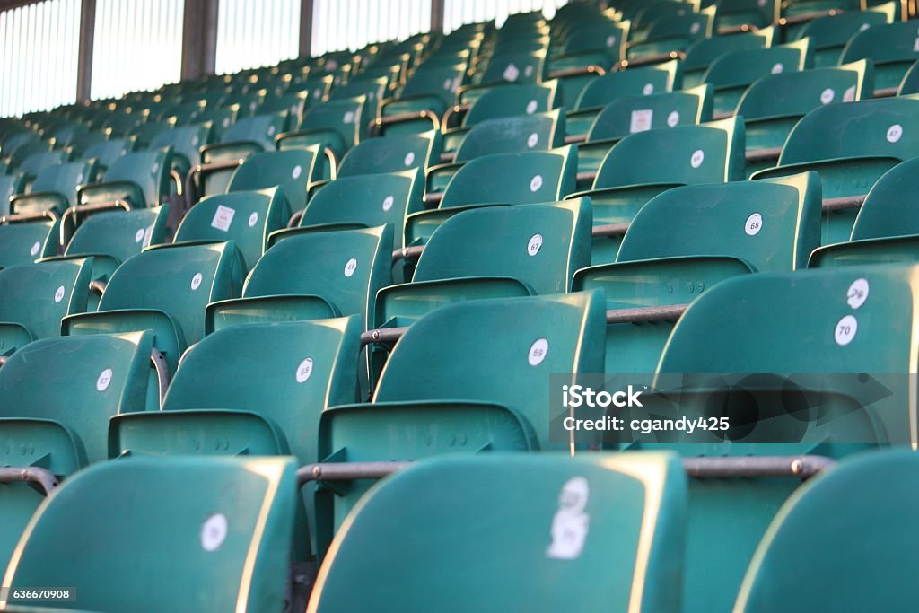 empty green grandstand seating in a regular symmetrical pattern Silverstone Stock Photo