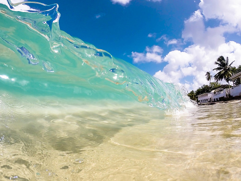 Clear wave in tropical sea of Barbados