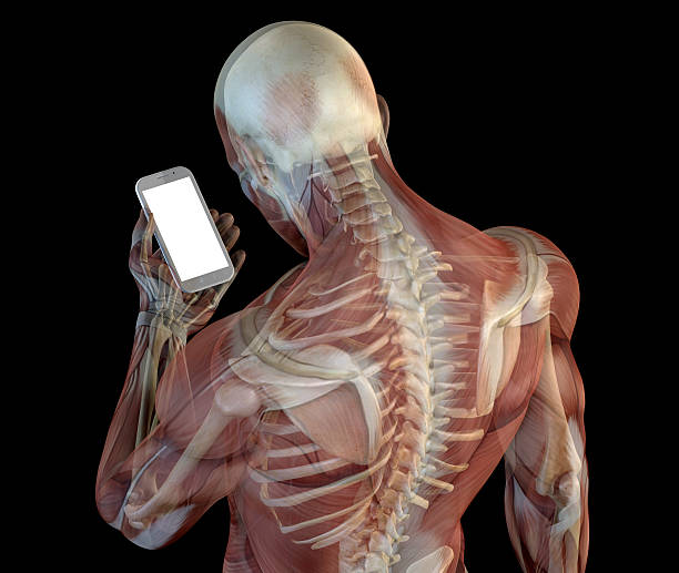 anatomia umana che mostra posture sbagliate dell'uso del telefono - wireless technology three dimensional shape people men foto e immagini stock