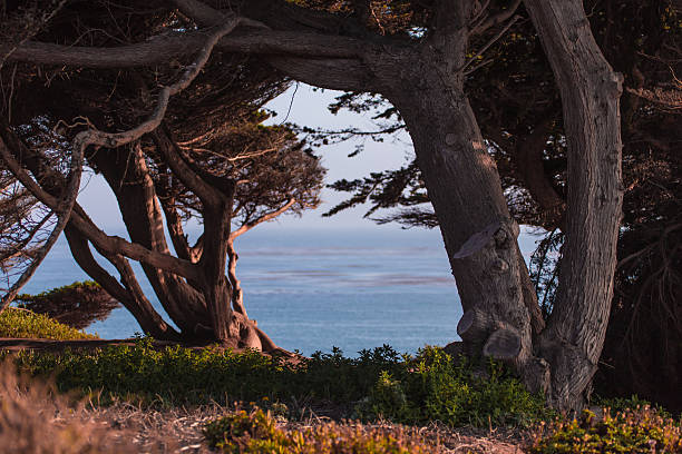 istock California coast line 636677846