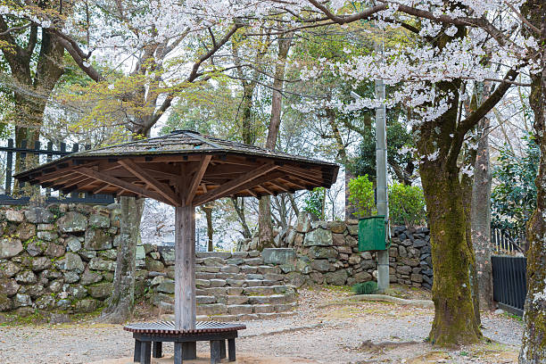 istock Wood pavilion in park for relax. 636679314