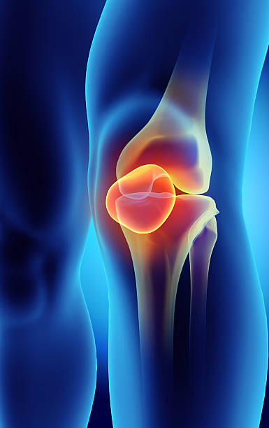 3dイラストレーションの膝蓋骨、医療コンセプトが光ります。 - cartilage patella human knee medical exam ストックフォトと画像
