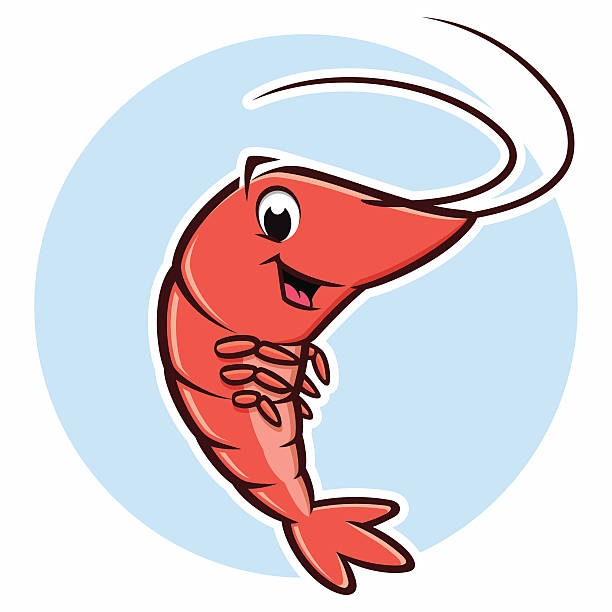 Cartoon Shrimp vector art illustration