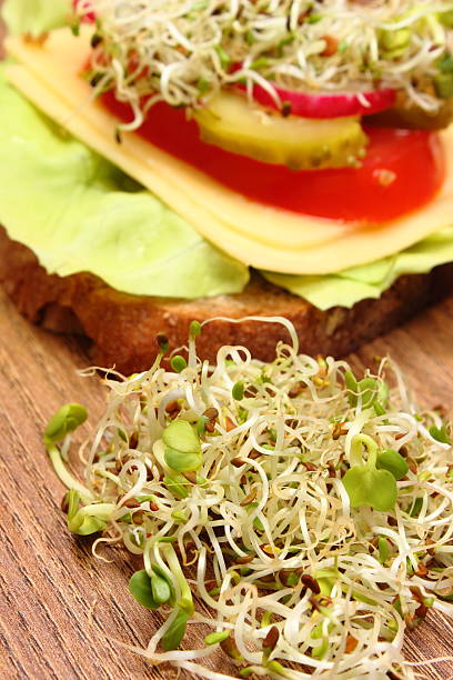 istock Vegetarian sandwich with alfalfa and radish sprouts 636687292