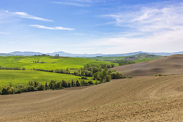 istock Tuscan rolling rural landscape view in the spring 636690992