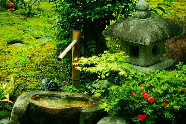jardin japonais  - japanese maple leaf water japan photos et images de collection
