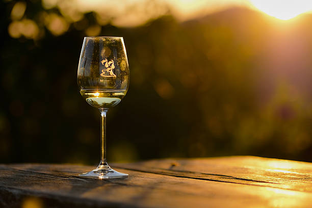 istock Glass of wine 636702896