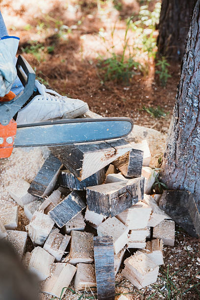 istock Man cutting some piece of wood 636704654