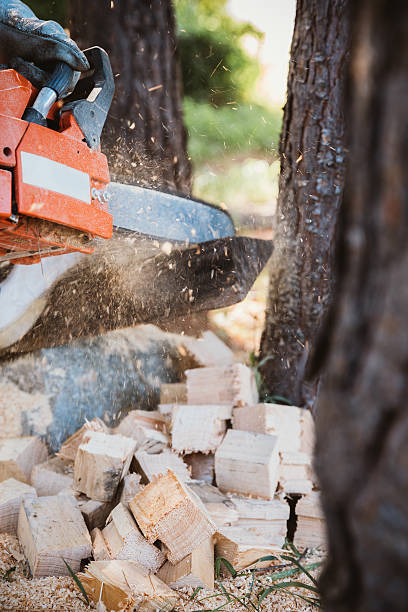 istock Man cutting some piece of wood 636704818