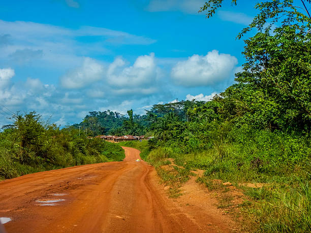 dirt road through the jungle in africa. liberia - the natural world plant attribute natural phenomenon mineral imagens e fotografias de stock