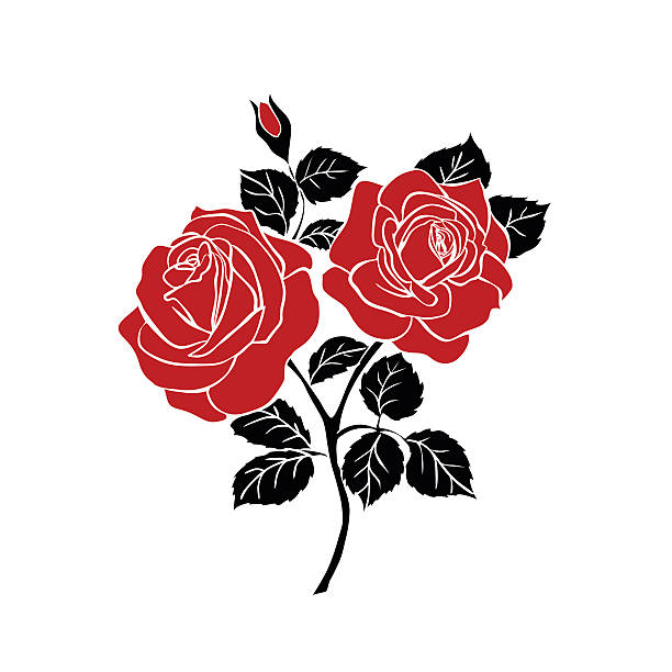 illustrations, cliparts, dessins animés et icônes de silhouette de rose - abstract petal blossom decoration