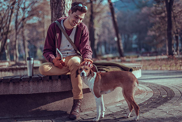 istock Sunny autumn day with a dog 636708390