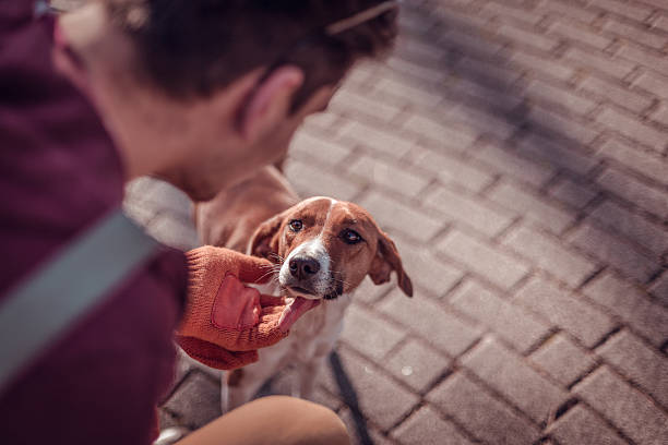 istock Close up of a hipster cuddling a dog 636708498
