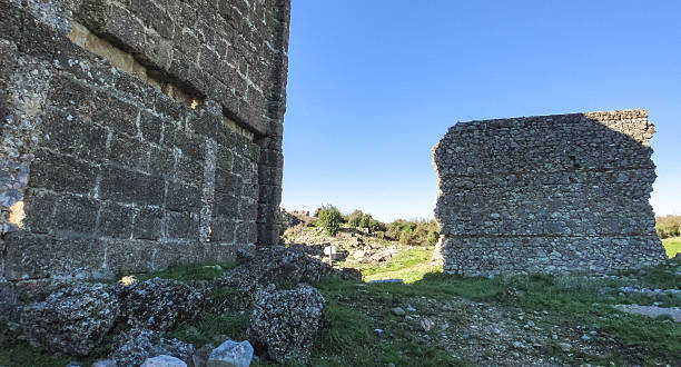 istock Aspendos (Aspendus) ruins in Turkey 636709960