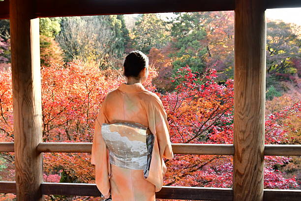 donna giapponese nel kimono che si gode il fogliame autunnale a tofuku-ji, kyoto - obi sash foto e immagini stock