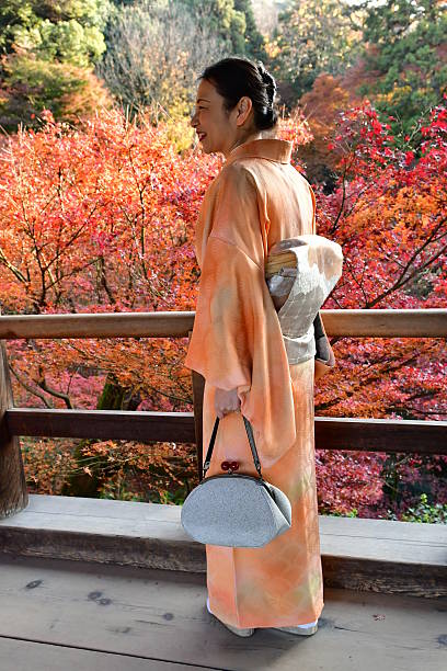 donna giapponese nel kimono che si gode il fogliame autunnale a tofuku-ji, kyoto - obi sash foto e immagini stock