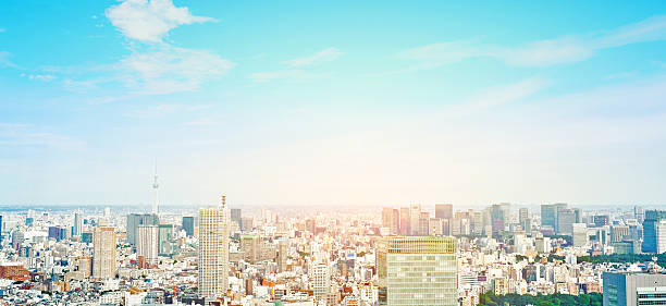 istock panoramic cityscape aerial view in Tokyo, Japan 636712726