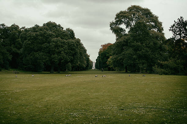 istock Trees On Grassy Field In Park Against Cloudy Sky 636713351