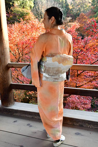 mujer japonesa en kimono disfrutando del follaje de otoño en tofuku-ji, kioto - obi sash fotografías e imágenes de stock