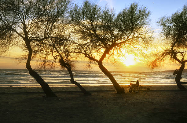 istock Sunset on the beach handicapped wheelchair 636713968