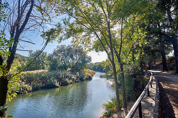 istock Views of the River Henares, 636716018