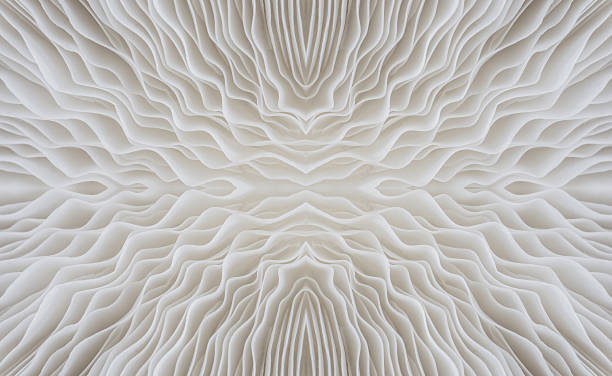 abstract background macro of Sajor-caju Mushroom
