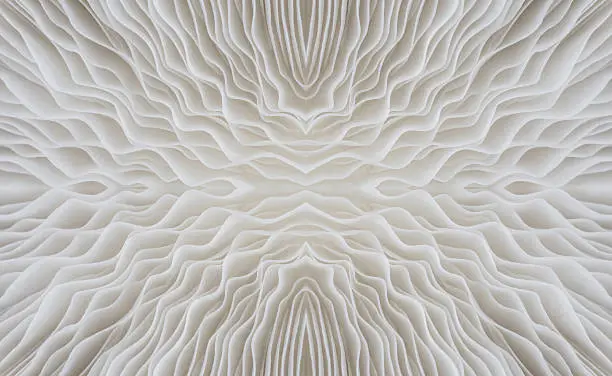 Photo of abstract background macro of Sajor-caju Mushroom