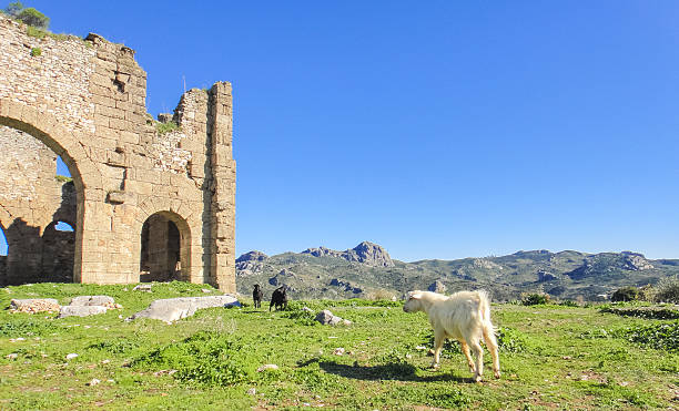 ruinas de aspendos (aspendus) en turquía - serik fotografías e imágenes de stock