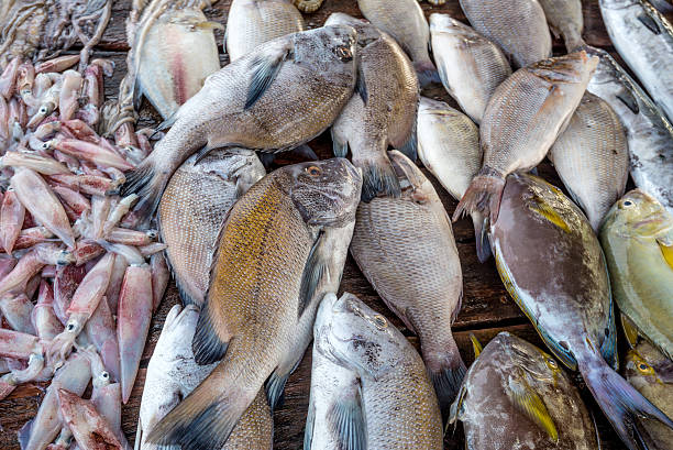 istock Fresh raw fish and seafood at market 636717880