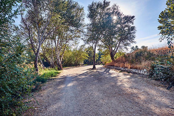 istock Views of the River Henares, 636718448
