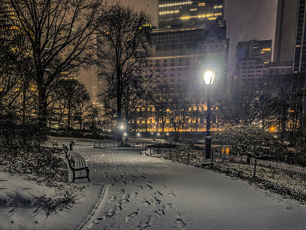istock Central Park, New York City night 636718932