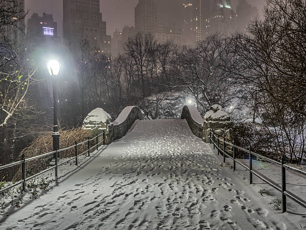 istock Gapstow bridge Central Park, New York City at night 636719530