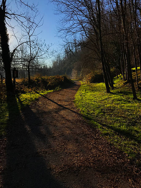 istock Park in the morning 636719544