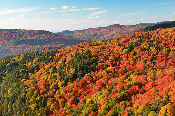 Laurentian Mountains in Autumn stock photo
