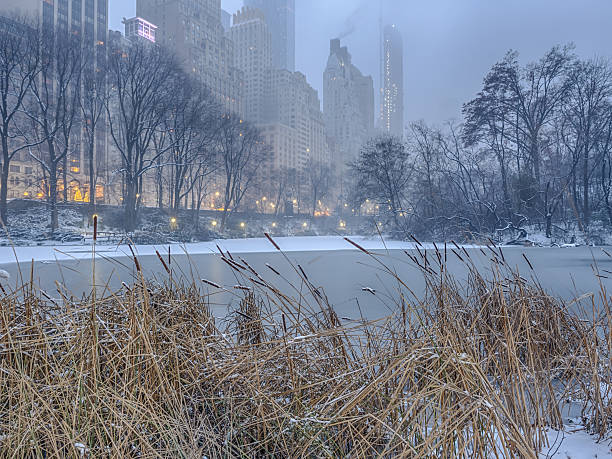 istock Central Park, New York City snow storm 636720188