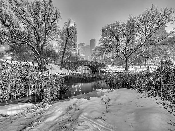 istock Gapstow bridge Central Park, New York City at night 636720554