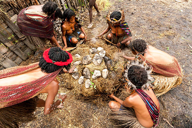 Dani  women cook food in Wamena, Papua New Guinea. Wamena, Indonesia - January 9, 2010: Dani  women cook food in the Baliem Valley. It is tradition to cook  vegetables into a hole filled with hot stones. Wamena.  Indonesia.  Papua New Guinea. dani stock pictures, royalty-free photos & images