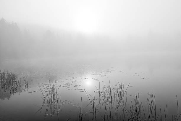 istock Foggy sunrise at Lake Monroe 636724912