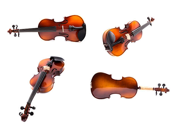 istock Collage of violins in various projection on a white background 636729836