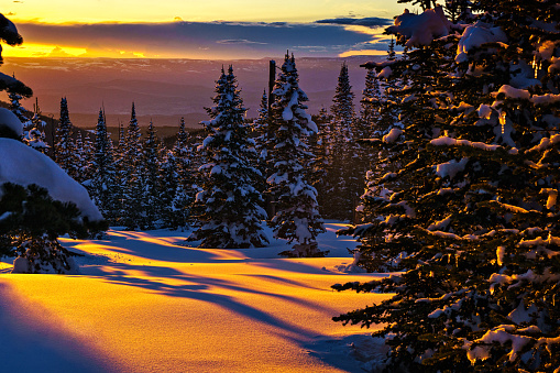 Beautiful Mountain Sunset - Fresh snow and pink alpenglow light at sunset for dramatic beauty in nature.  Colorado, USA.