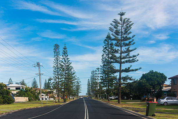 istock Residential road in Yamba, Australia 636732558