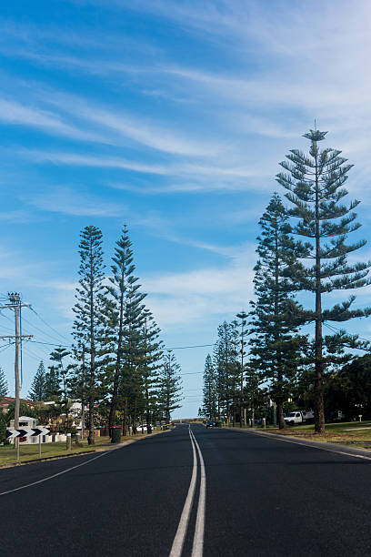 istock Residential road in Yamba, Australia 636732592