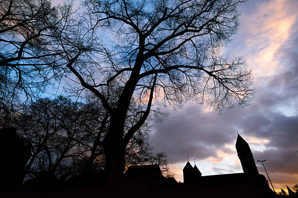 istock andernach historic city in germany evening silhouettes 636737608