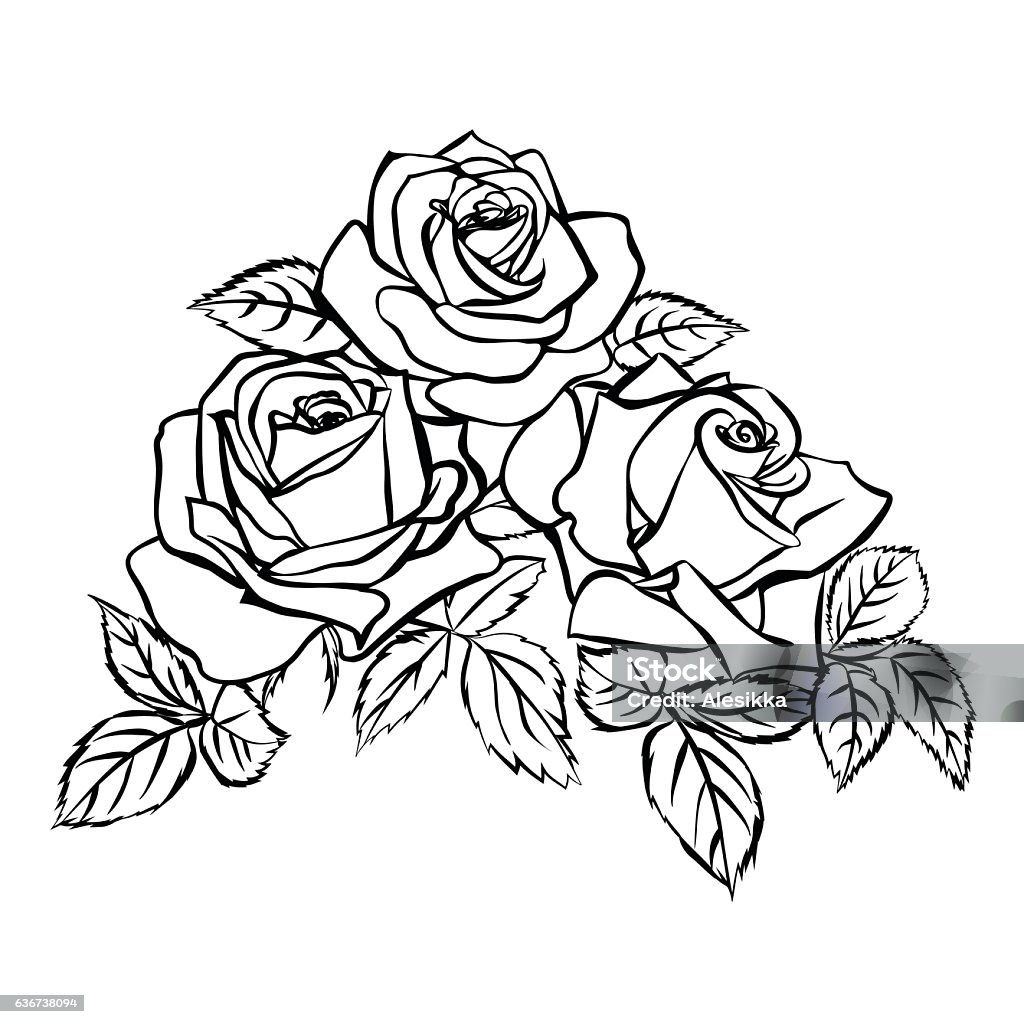 Rose Sketch On White Background Stock Illustration - Download ...
